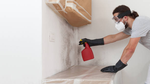 Professional Basement Mold Remediation technician working in Haskell, NJ